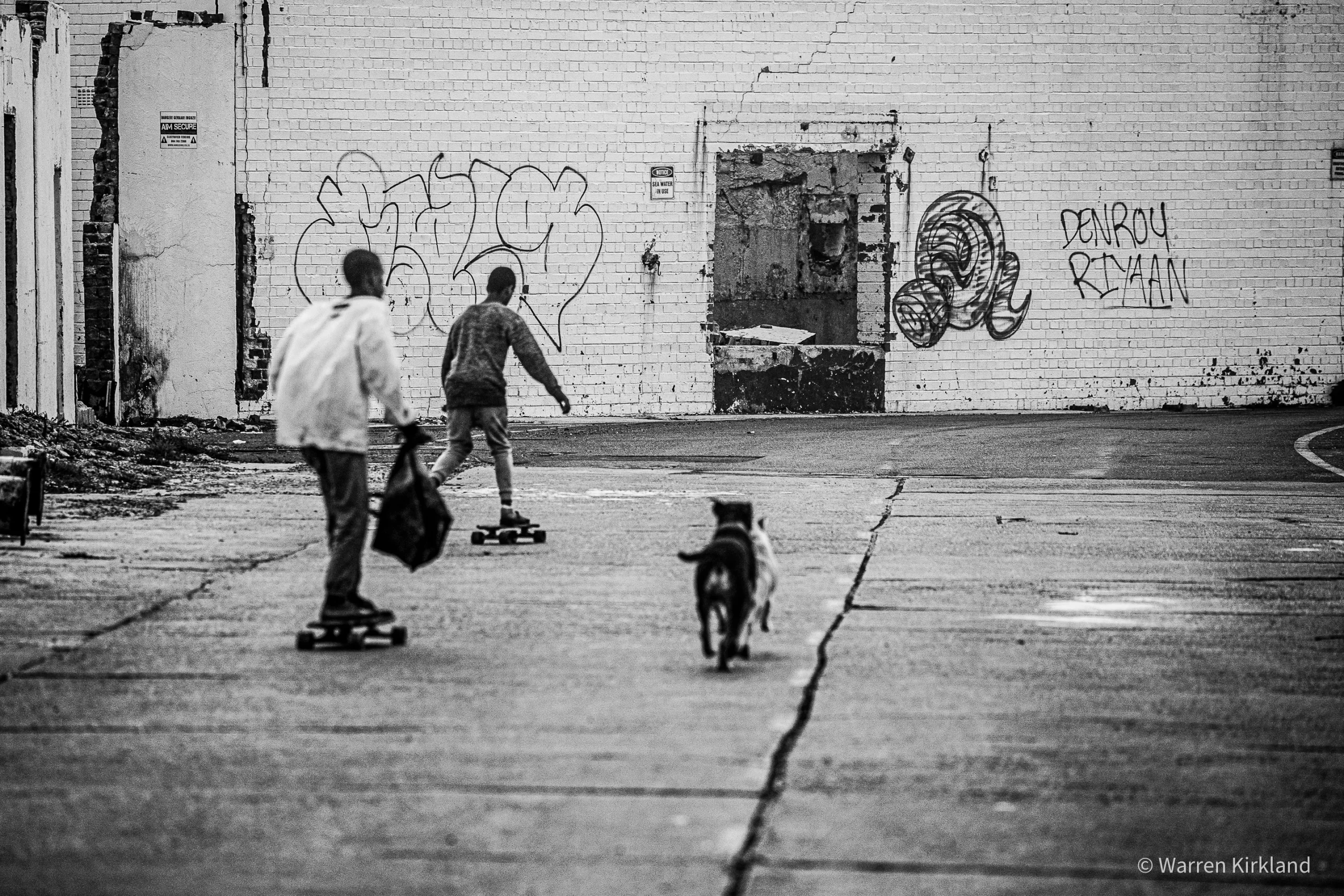Kids skateboarding with a dog running alongside past a graffiti wall
